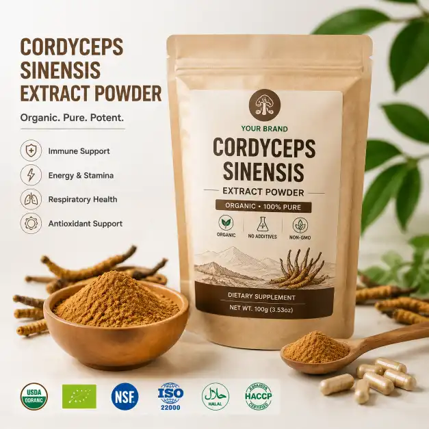 Exploring Organic Cordyceps Sinensis Extract Powder